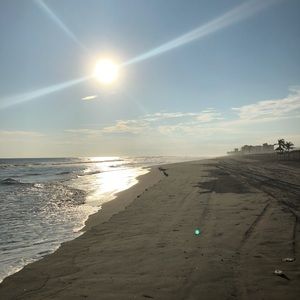 Meet your Posher, Susana